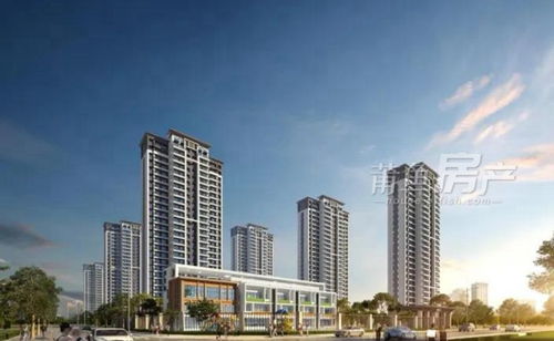 三盛集團 實力三盛 開疆拓土丨2020第一拍,喜添莆田第三子