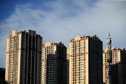 王石再預測中國未來房地產走向 若無意外,或較大概率又是對的